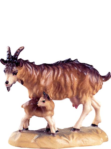 Ziege mit Kitz