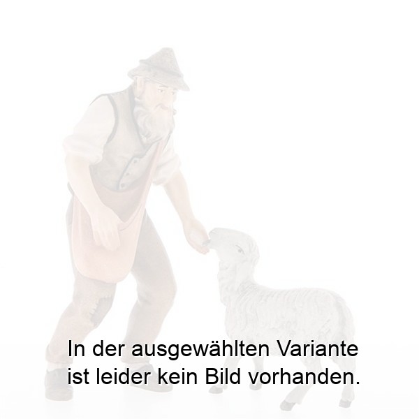 Salzer ohne Schaf 21203-A Salzer ohne Schaf 21203-A