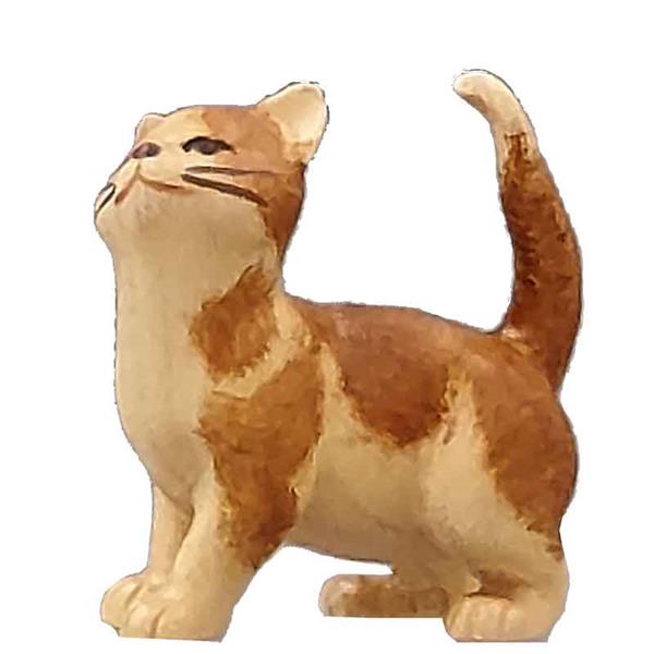 Katze stehend rot-braun