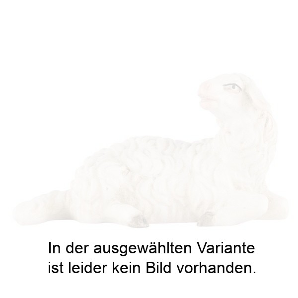Schaf liegend Schaf liegend