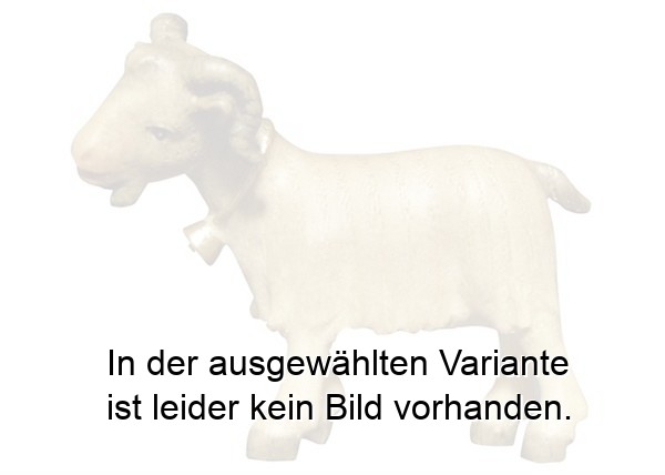 Ziege Ziege