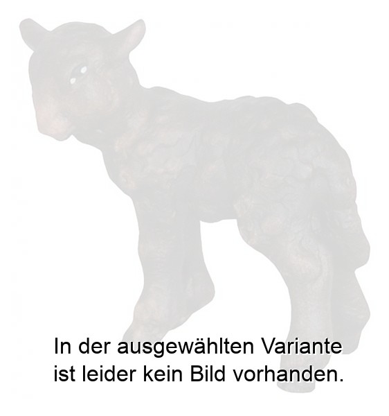 Schwarzes Lamm Schwarzes Lamm