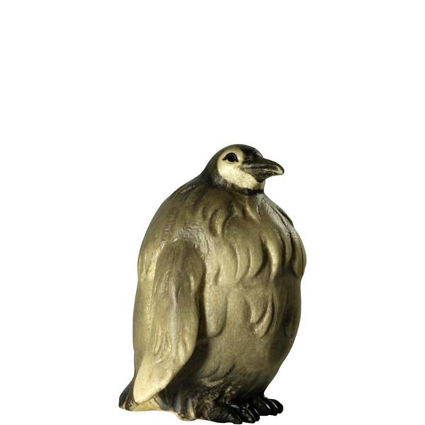 Pinguin - Junge