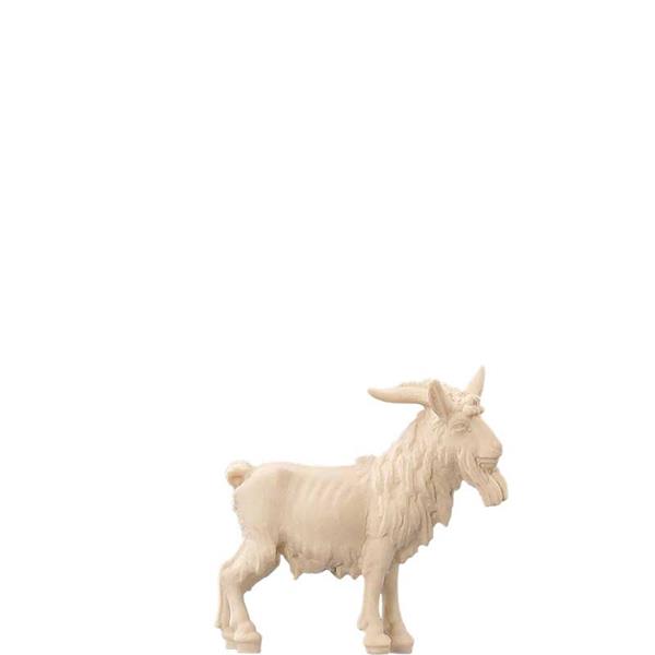 Ziegenbock Ziegenbock