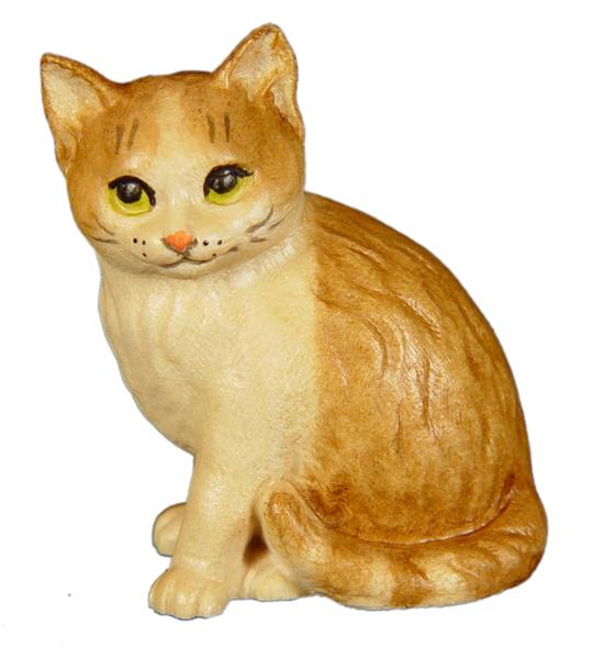 Katzenjunge rechts