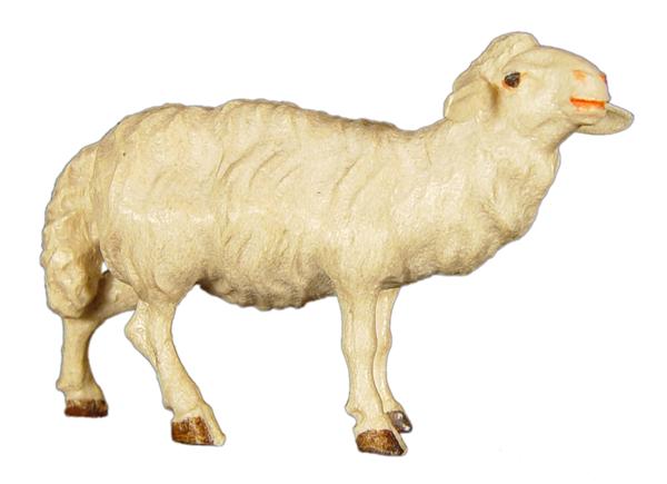 Schaf stehend links