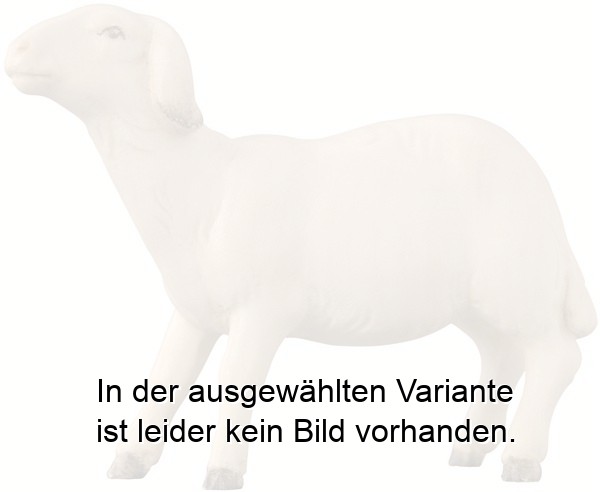 Schaf modern schauend Schaf modern schauend