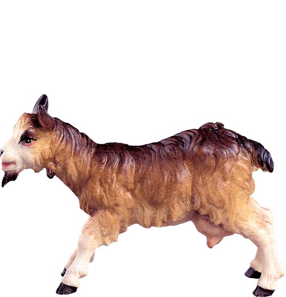 Ziege Ziege