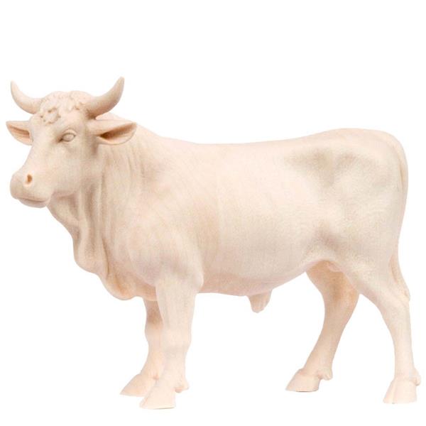 Ochs stehend