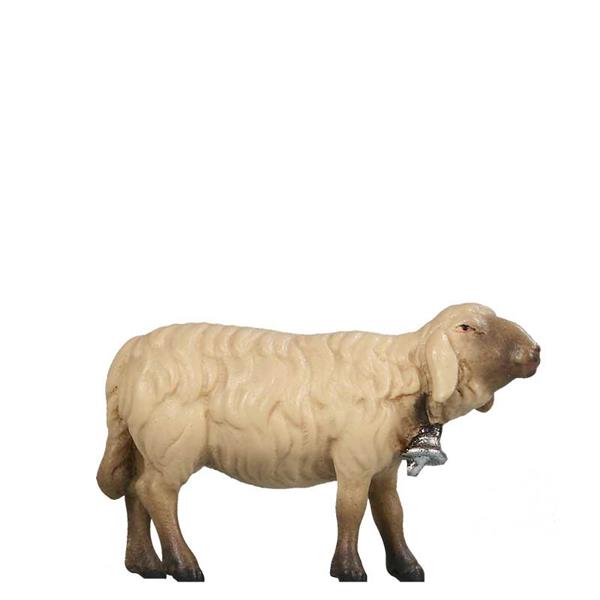 Schaf vorwärts schauend mit Glocke SCHWARZ-WEIß Schaf vorwärts schauend mit Glocke SCHWARZ-WEIß