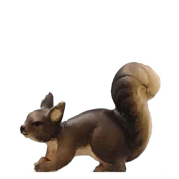 Eichhörnchen laufend grau