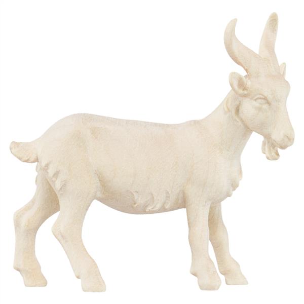 Ziegenbock
