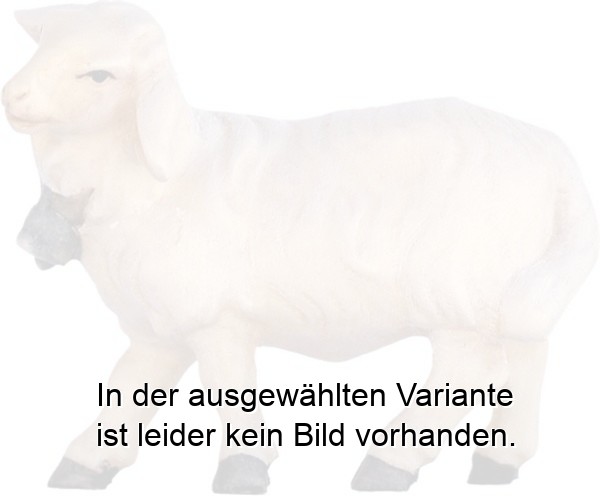 Schaf mit Glocke Schaf mit Glocke