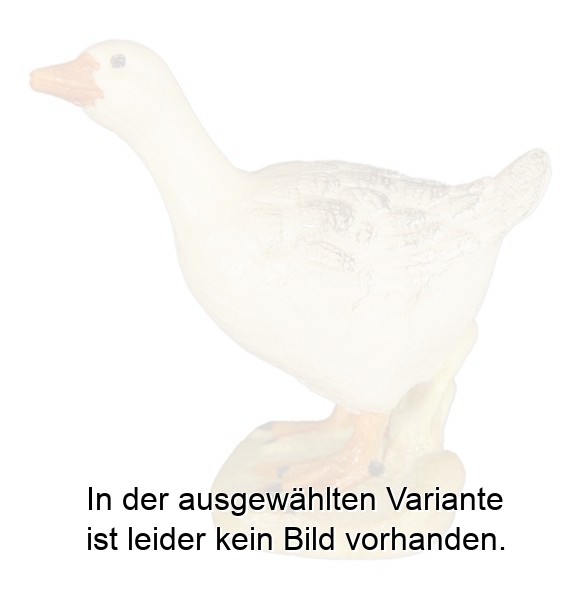 Gans rechts Gans rechts