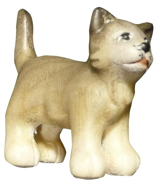 Katze