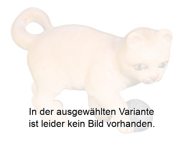 Kätzchen spielend Kätzchen spielend