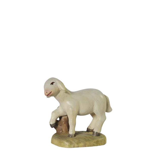 Schaf stehend Leo-Krippe - Esche Schaf stehend Leo-Krippe - Esche