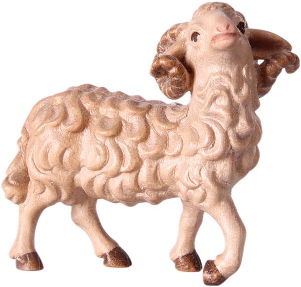 Schafbock Schafbock