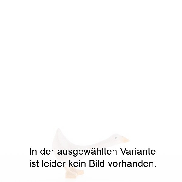 Gans nach vorne geneigt Gans nach vorne geneigt