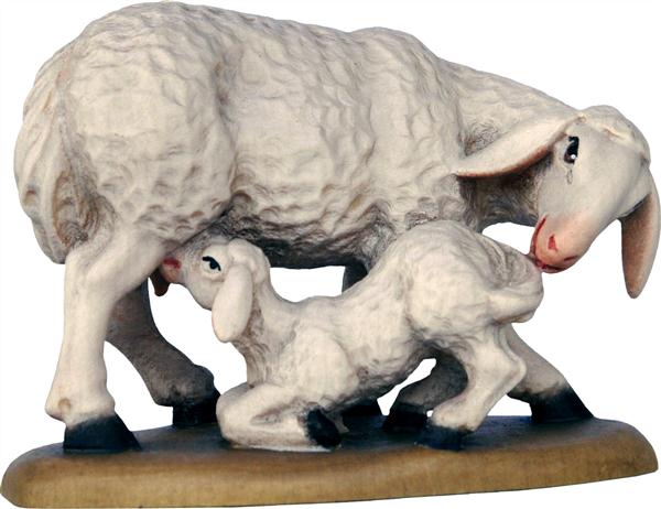 Schafgruppe Schafgruppe