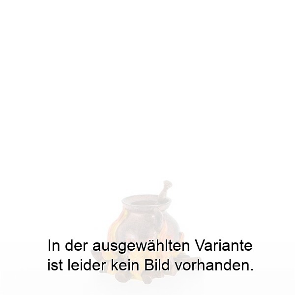Feuerstelle mit Kupferkessel