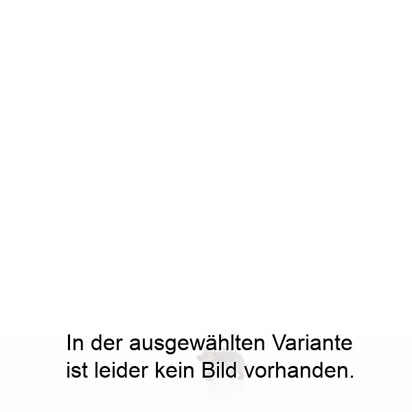 Igel nach oben schauend