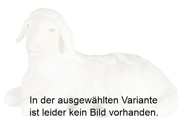 Schaf liegend Schaf liegend