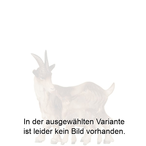 Ziege mit Kitz