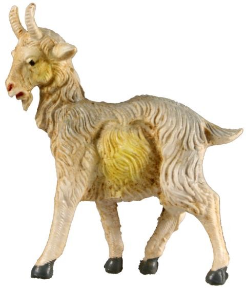 Ziege stehend