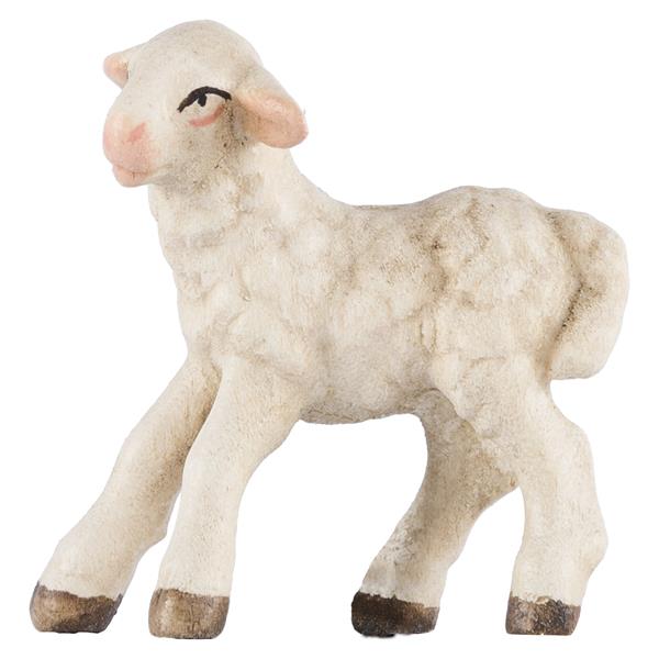 Lamm stehend linksschauend Lamm stehend linksschauend