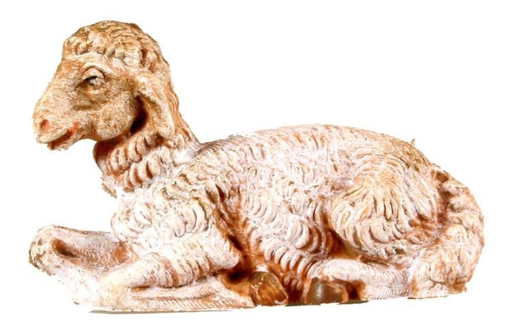 Schaf liegend Schaf liegend