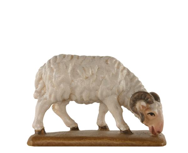 Schafbock