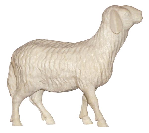 Schaf stehend