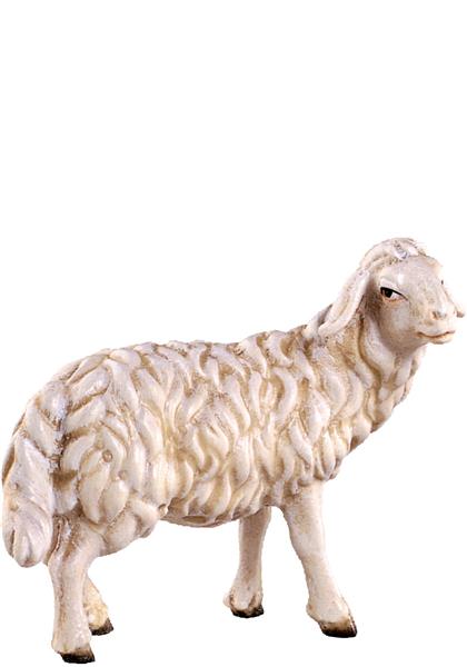 Schaf stehend Schaf stehend