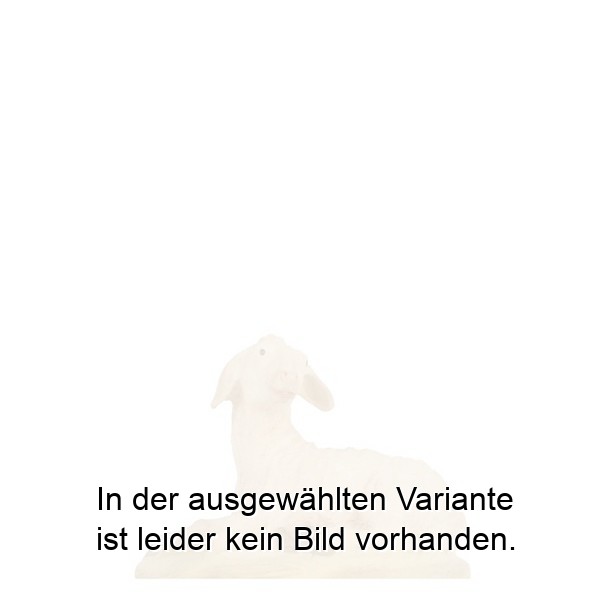 Schaf liegend