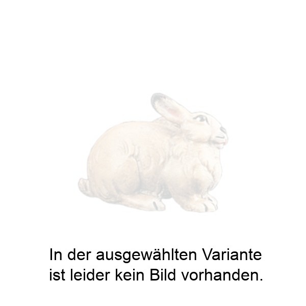Hase Hase