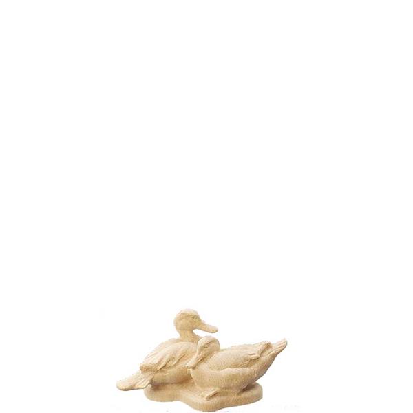 Wildentengruppe Wildentengruppe