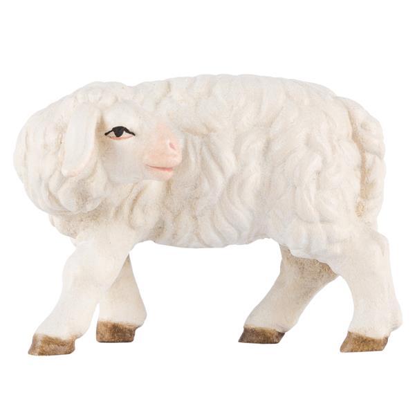 Schaf zurückschauend Schaf zurückschauend