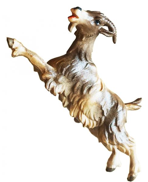 Ziege aufrecht