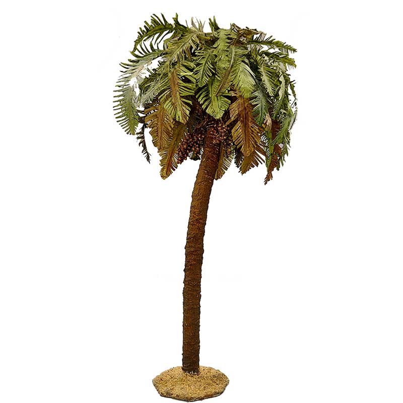 Palme Palme