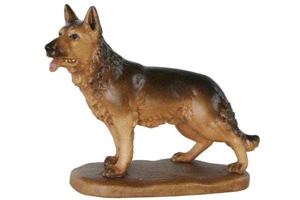 Hund stehend Hund stehend