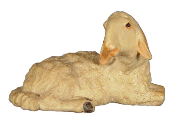 Schaf liegend
