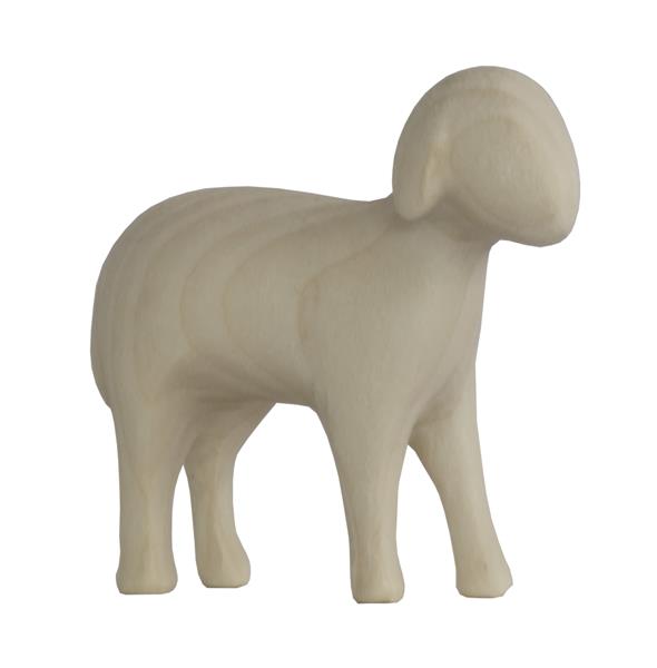 Schaf stehend Schaf stehend