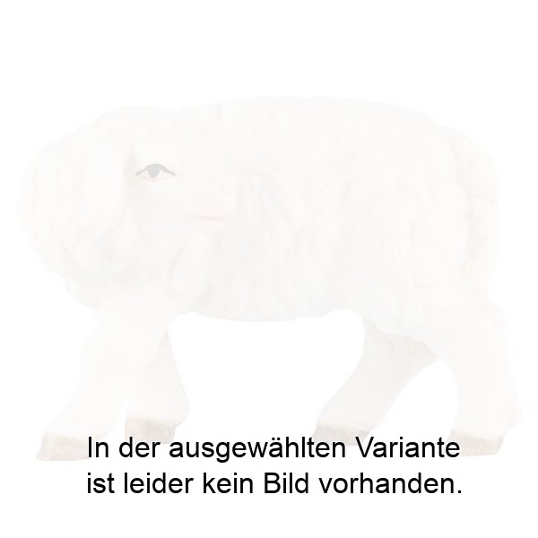 Schaf zurückschauend Schaf zurückschauend