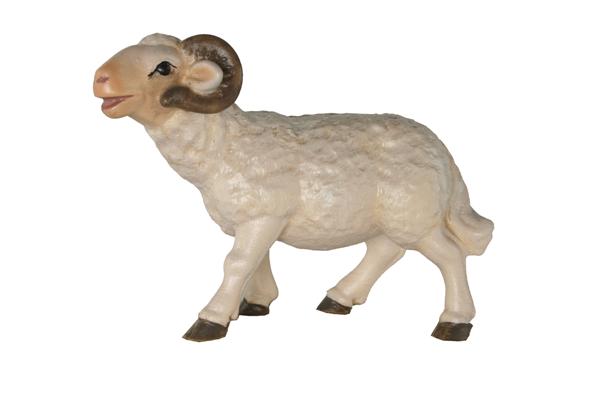 Schafbock barocke K. o.S. Schafbock barocke K. o.S.