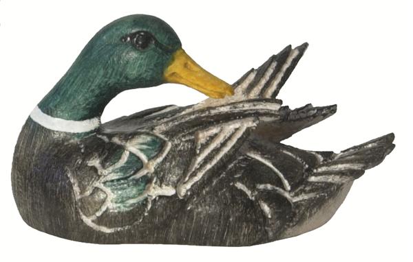 Ente - Flügel putzend grün