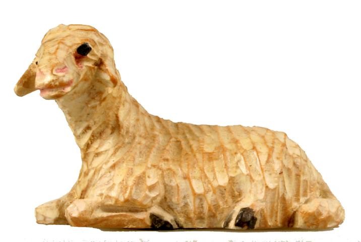 Schaf liegend Schaf liegend