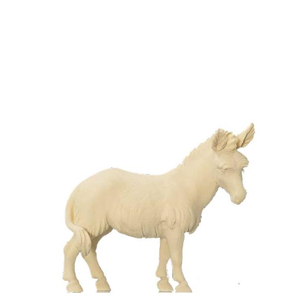 Esel orientalisch Esel orientalisch