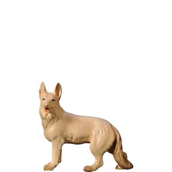 Schäferhund Schäferhund