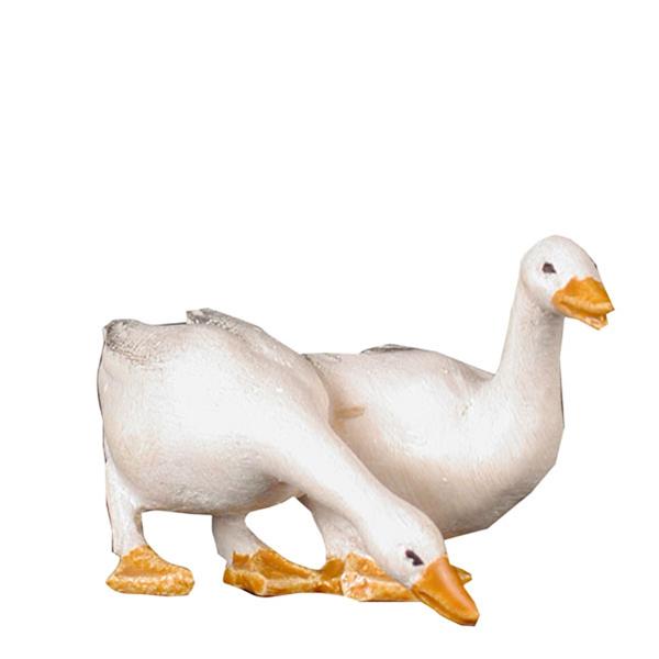 Gänsegruppe